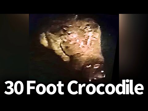 30 Foot Crocodile Seen Again in Philippines 