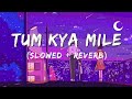 TUM KYA MILE (SLOWED + REVERB) | ARIJIT SINGH | ROCKY AUR RANI KI PREM KAHANI |