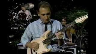 larry carlton live blues