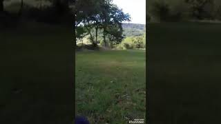 Cover - Devil&#39;s Whisper (Raury)