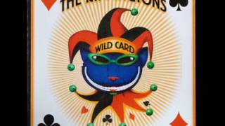 The Rippingtons - Paradise