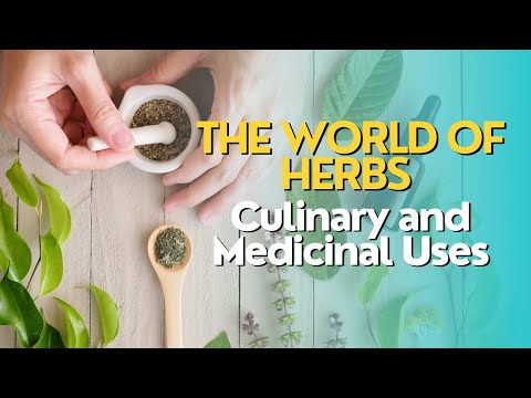 The World of Herbs: Culinary and Medicinal Uses