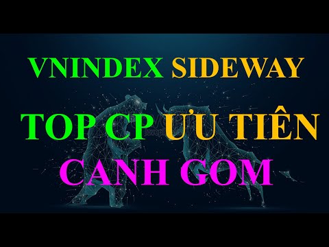 #465: Vnindex 22/11, TOP cố phiếu canh gom VND SSI VCI BSI DXG DIG NLG...