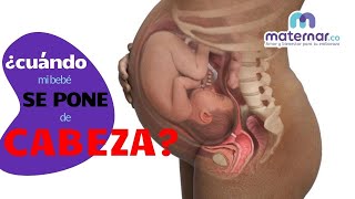¿En qué semana se pone mi bebé de cabeza para nacer? | Maternar.co
