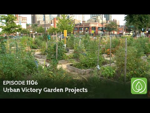 Growing a Greener World Episode 1106: Urban Victory Gardens Project