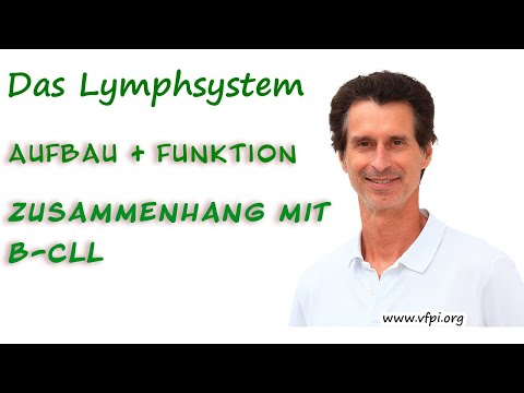 Das Lymphsystem