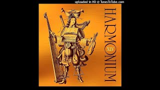 HARMONIUM-Harmonium-08-Un musicien parmi tant d'autres-{1974}