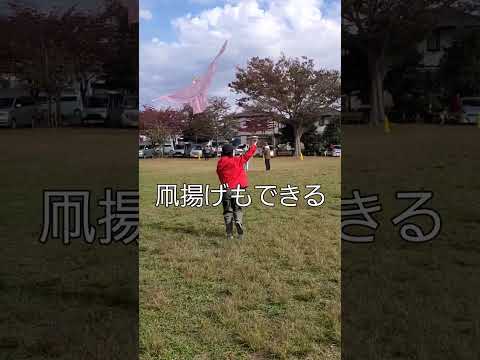 国際関係学科 JBFジャパンバードフェスティバルに来ました！