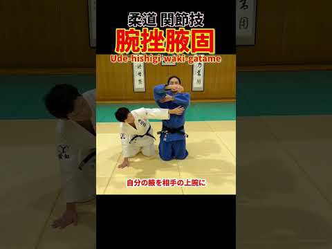 【基本をマスター！】反則負けにならない腕挫腋固を紹介します。　#柔道 #judo #寝技 #関節技 #腕挫腋固 #腕ひしぎ腋固め #ude-hishigi-waki-gatame #shorts