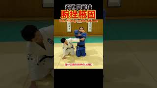 反則負けにならない腕挫腋固を紹介します。