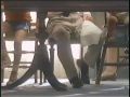 Stanley Steemer TV Commercials Meldrum Fewsmith Advertising June 24 1988