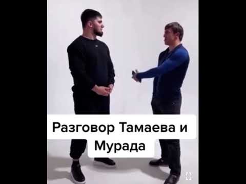Мурад разборка Тамаева