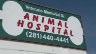 preview picture of video 'Veterans Memorial Drive Animal Hospital - Short | Houston, TX'