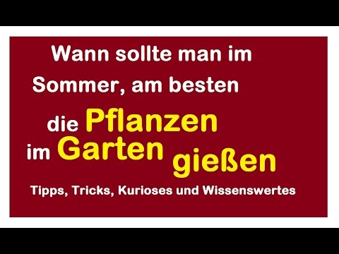 Wann sollte man am besten im Sommer Garten Pflanzen gießen - Richtig giessen Bewässerung