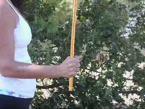 ⭐ Basic Forward & Backward Spins for Cane - Belly Dance ⭐