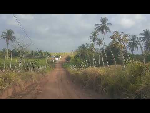 Parabéns prefeito da cidade de Cuité de Mamanguape 