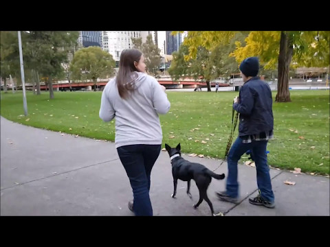 Supernatural Convention || "All Hell Breaks Loose 8"