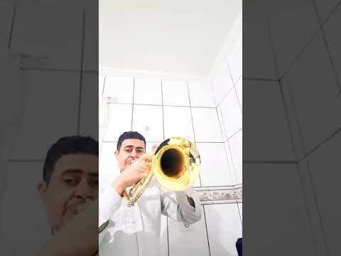 Hino 365 - Contrito, venho a Ti - Flugelhorn - Hinário 5 CCB