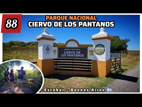 🌿 PARQUE NACIONAL CIERVO DE LOS PANTANOS - Campana, Bs As🇦🇷. Entrada gratuita y mucha naturaleza 