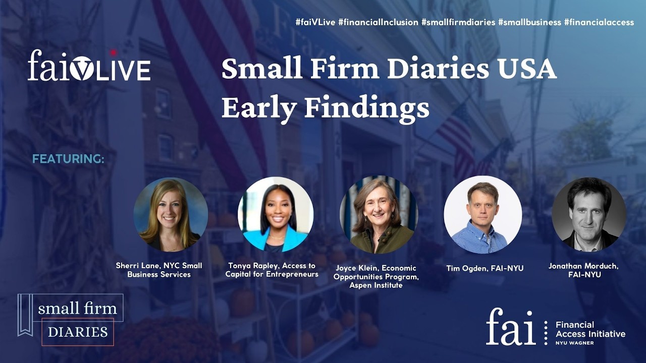 Early Findings from Small Firm Diaries USA