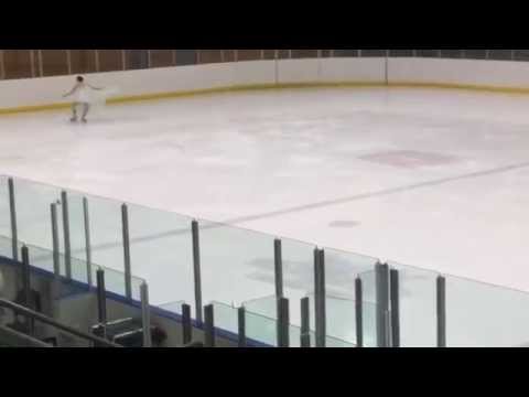 Gold dramatic 2 - 2015 Adult Figure Skating Championships