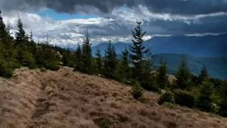 DIS MOI CELINE   HUGUES AUFRAY