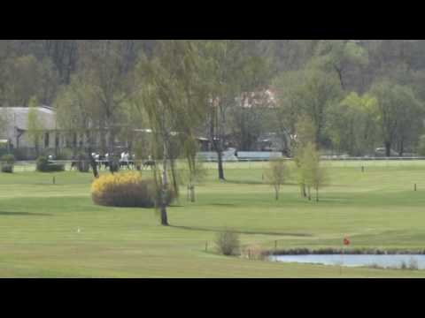 KV, 30. 4. 2016, 4. dostih - Cena plesového výboru - Preis des Ballkomitee