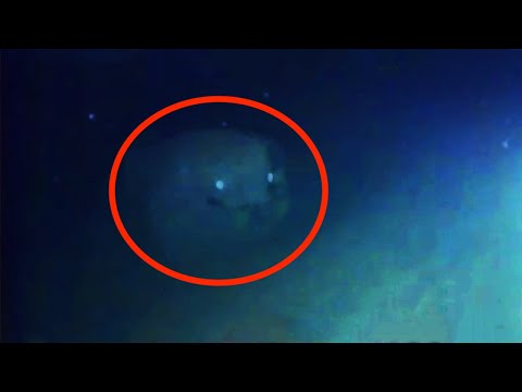 8 Mysteriöse Unterwasser Kreaturen mit der Kamera eingefangen!