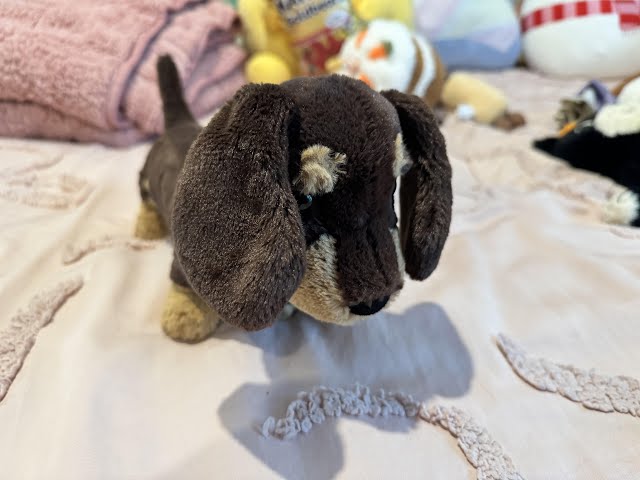 Vídeo relacionado con Jellycat - Teddybear - Otto Sausage Dog from Jellycat