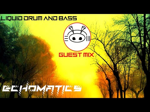 ECHOMATICS Guest Mix - Liquid Drum And Bass Artists - H&S SPECIALS 2021