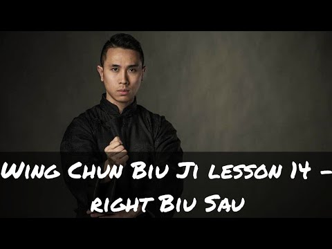 Wing Chun Biu Jee (Biu Ji ) Third Form - lesson 14