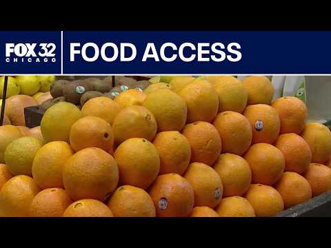 Chicago's Grocery Rescue Program aims to reopen stores in ...