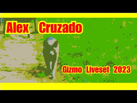 [ minimal techno vocal hardset ] | Alex Cruzado | Gizmo Liveset 2023