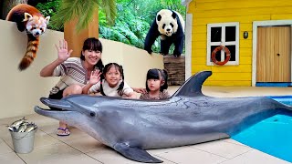 Download lagu Feeding Dolphins, Pandas and Red Pandas at the Zoo - Getting to Know Animals mp3
