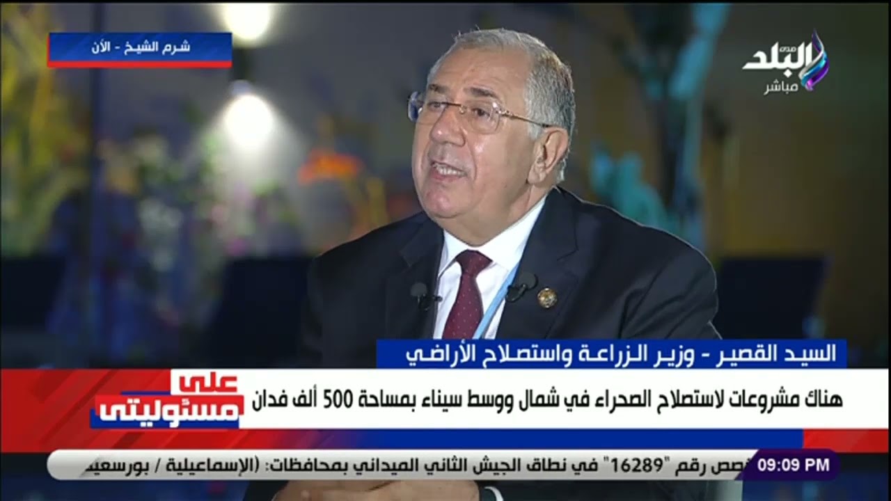  الإفراج عن 320  ألف طن فول صويا