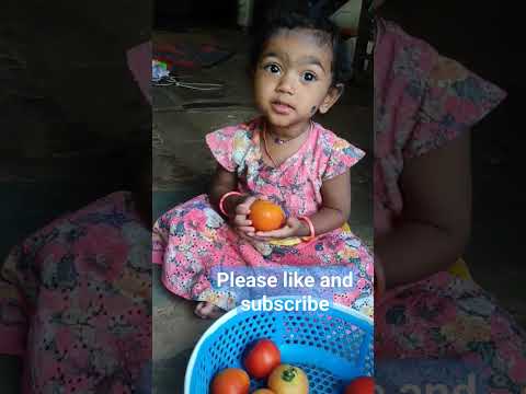 tomato🤣🤣 #tomato #englishtomato#vankayo#musfira