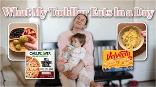 *REALISTIC* What My Toddler Eats In A Day! | Toddler Meal Ideas, Fails, Snack Ideas, Eating Habits