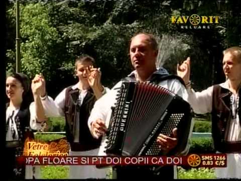 SOAVA IONEL BRAURI BANATENE.