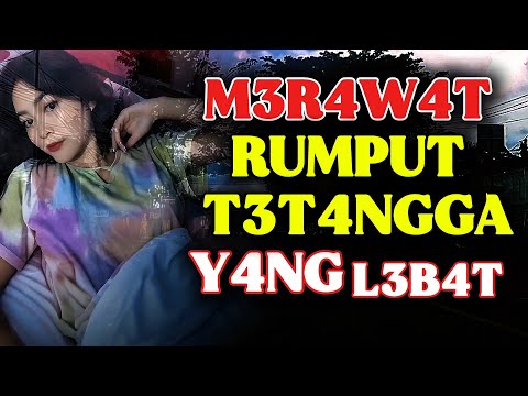 Membantu Tetangga depan rumah | Kisah Nyata