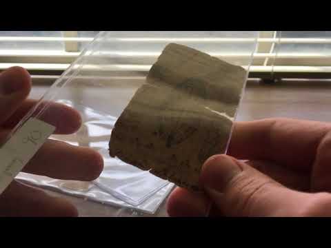 My Colonial & Continental Currency Collection