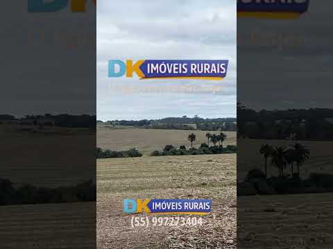 🚜 OPORTUNIDADE RURAL COM LOCALIZAÇÃO PRIVILEGIADA EM ALEGRETE/RS! 🌾🐂