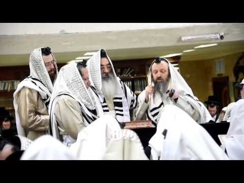 Purim 5776 In Dushinski