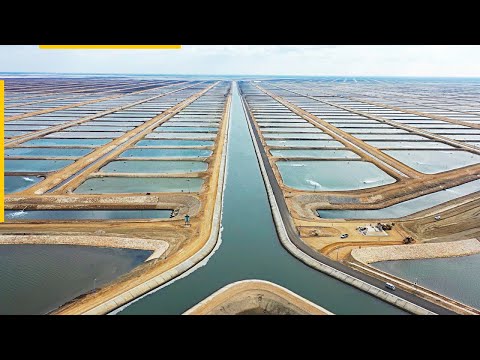 How this mega-project will make Egypt the continent's largest fish producer