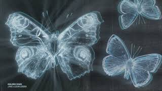 Cover art for big boooty hole