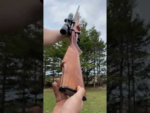 Winchester Model 1400 Review