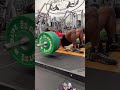 How many reps did i do?