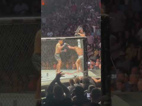 UFC274 Tony Ferguson getting the crowd to its feet with a combo that has Michael Chandler on the run