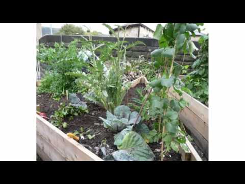 Utzon Lecture Series: Healthy Built Environments = Healthy Cities