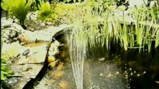 preview picture of video 'Heringerichte tuin met vijver in Millis.'