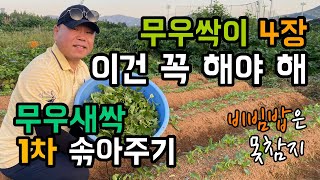 무우 잘 키우기 / 무우 잎사귀가 4장? / 이건 꼭 해야 해 / 1차 솎아주기 / 비빔밥은 못참지